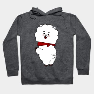 Groovy RJ Hoodie